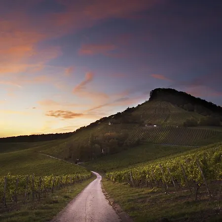 ゲストハウス Margarete 3*